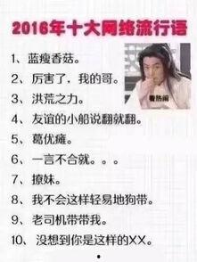 网红词汇2017,网络热词背后的时代印记